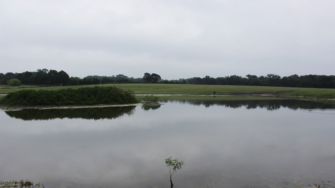 Photo of Others in Brenham