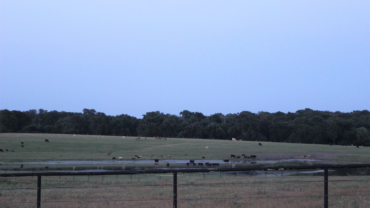 Photo of Others in Brenham