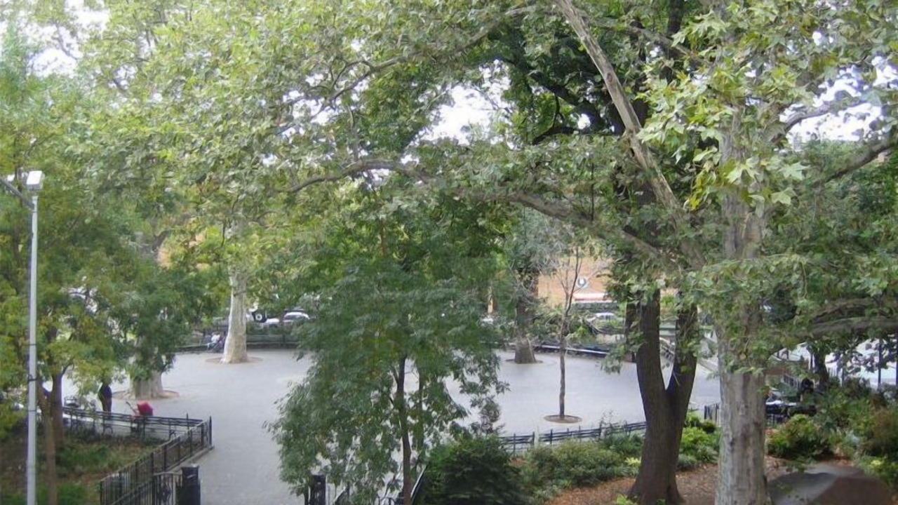 Photo of Others in Carroll Gardens