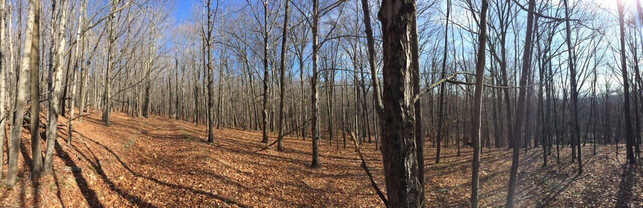 Photo of Others in Lake Hill