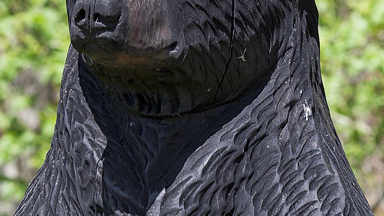 Photo of Others in Lake Hill