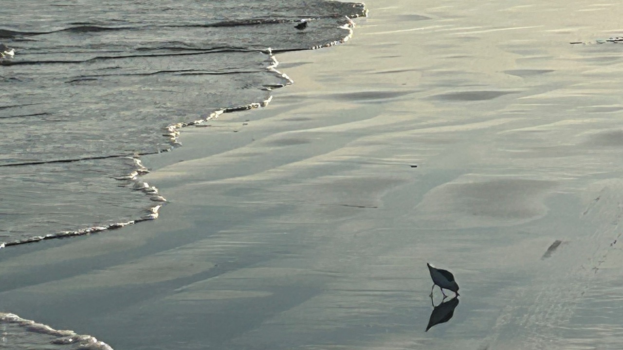 Photo of Others in Wildwood