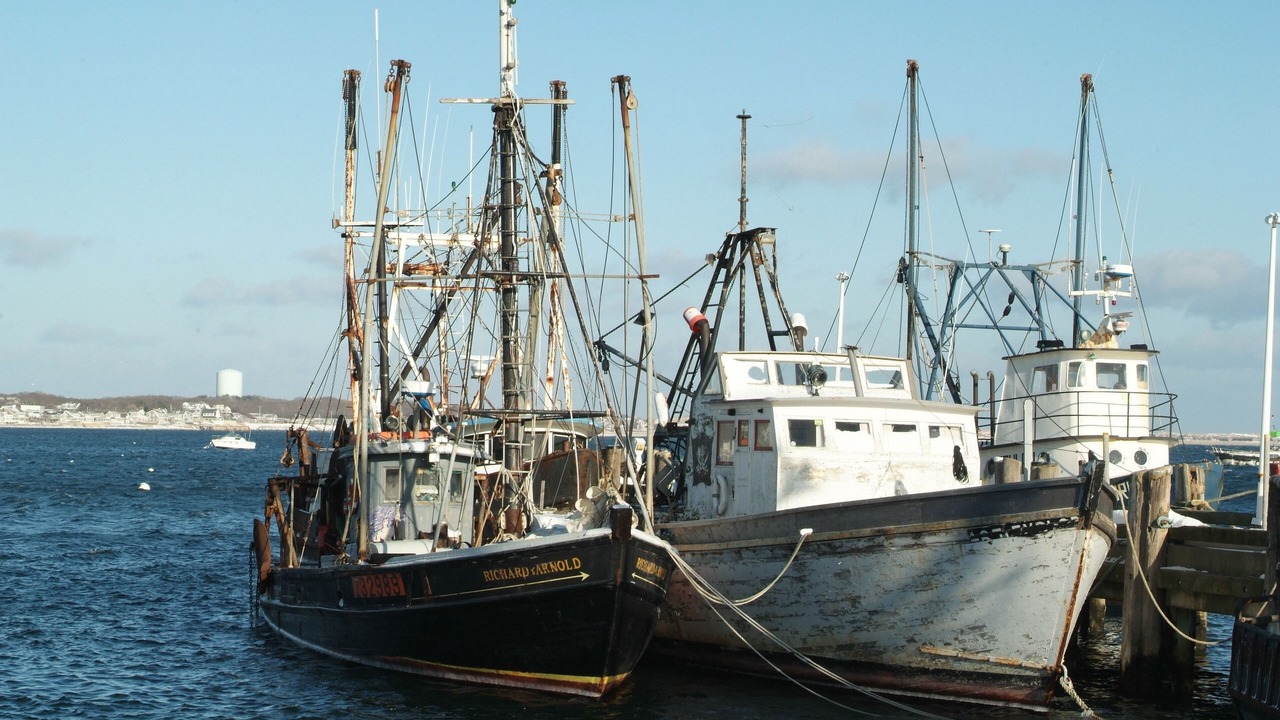 Photo of Others in North Truro