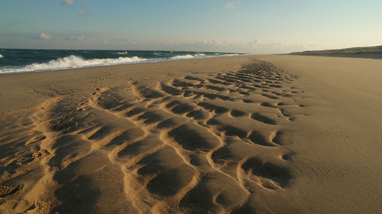 Photo of Others in North Truro