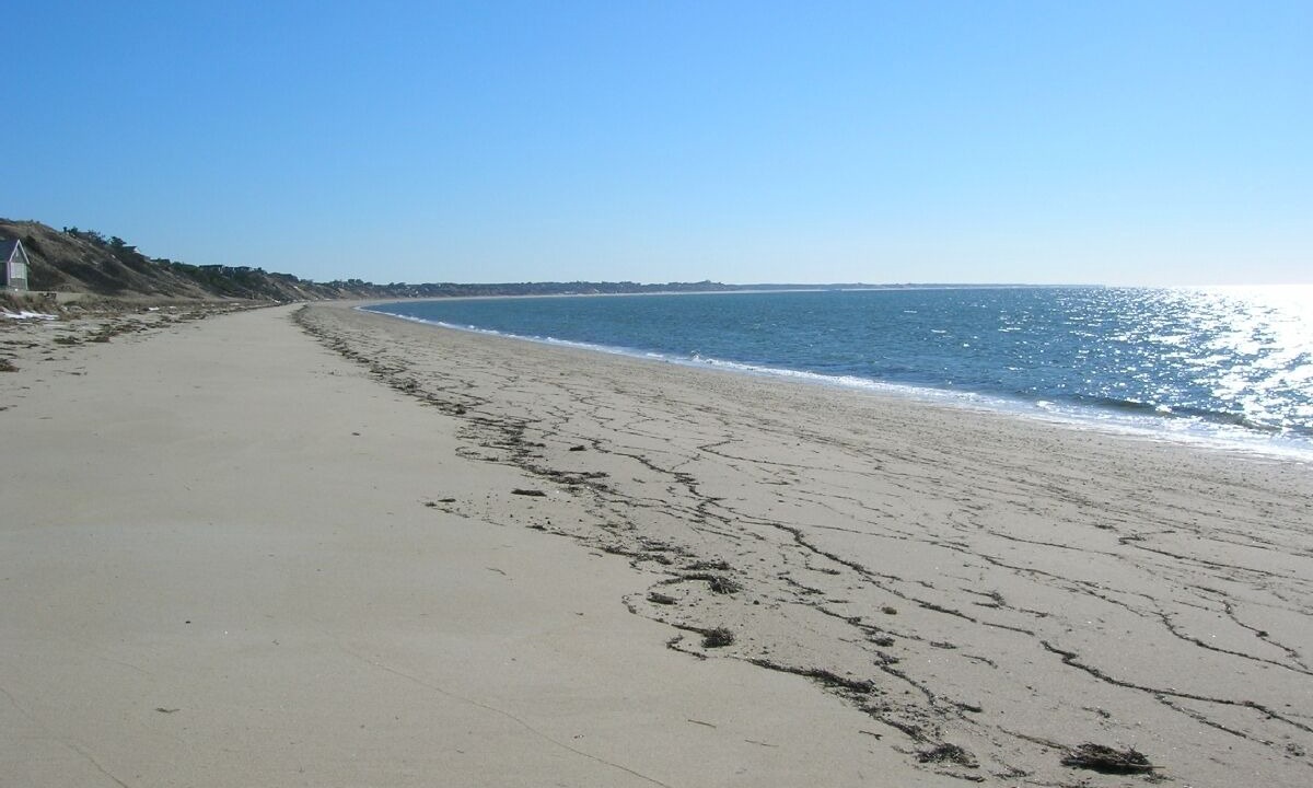 Photo of Others in North Truro