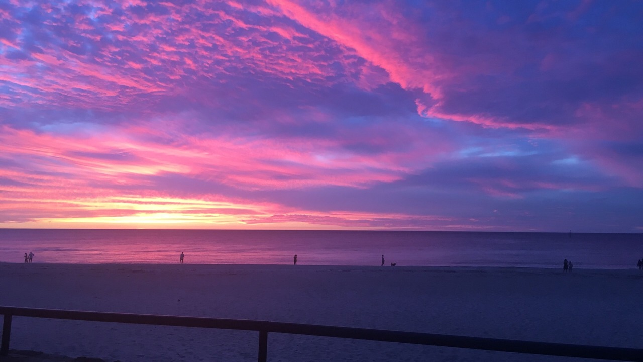 Photo of Others in Glenelg