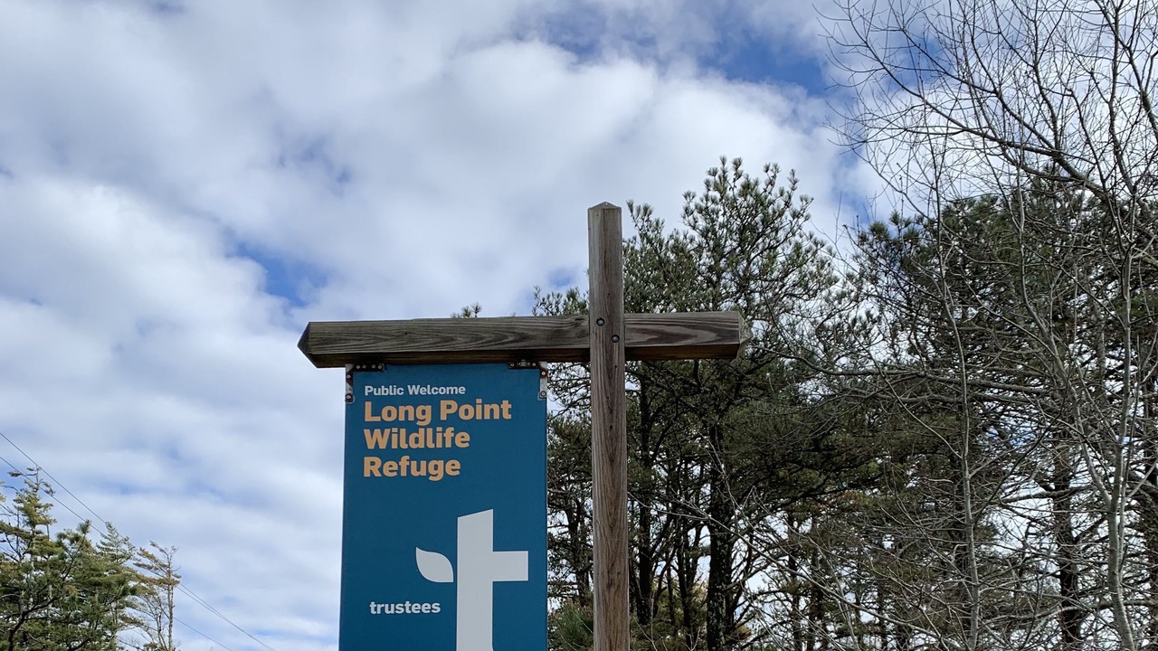 Photo of Outdoor in Edgartown