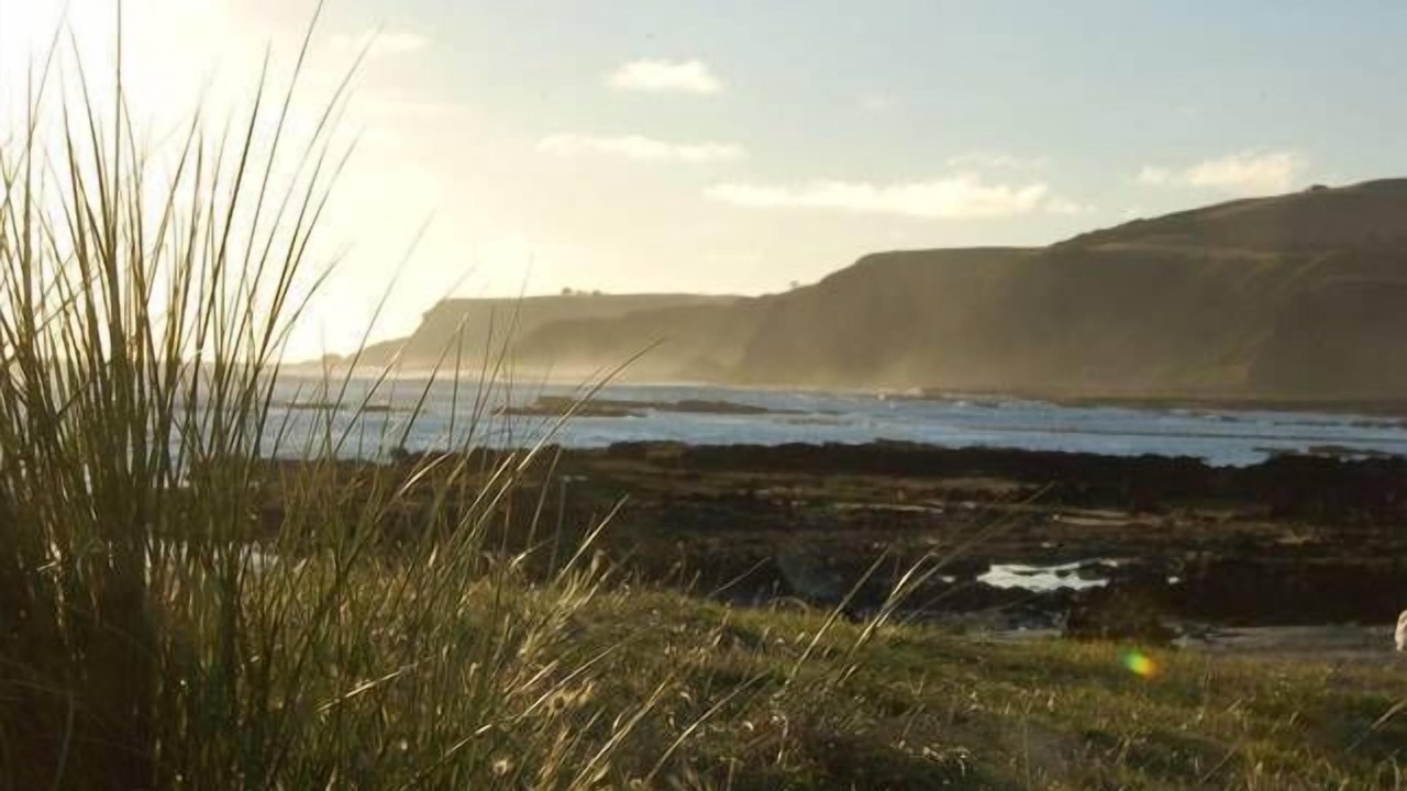 Photo of Others in Flinders