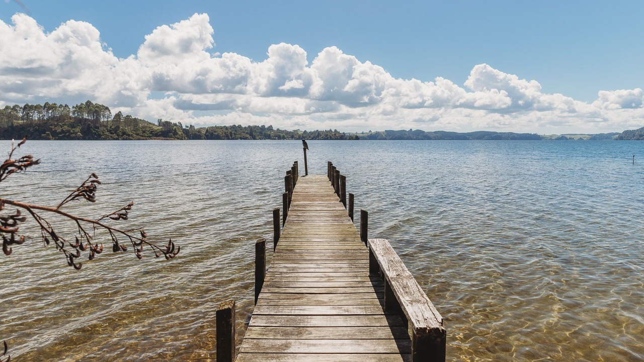 Photo of Others in Tikitere