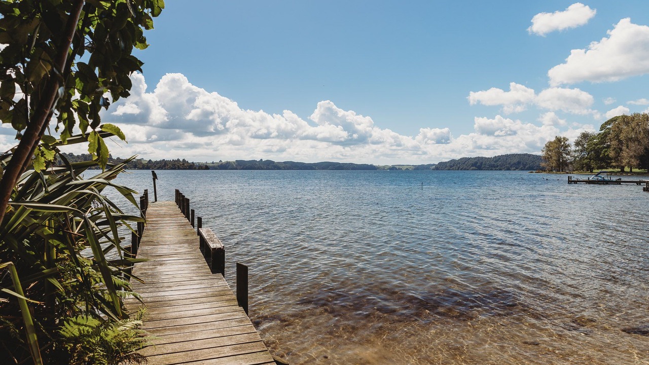 Photo of Others in Tikitere