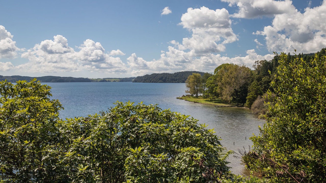 Photo of Outdoor in Tikitere