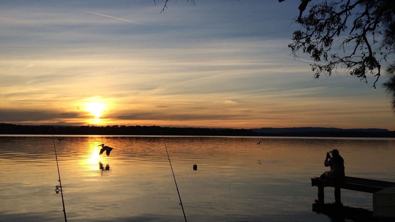 Photo of Others in Mannering Park
