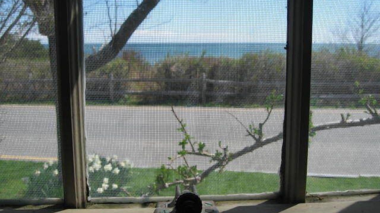Photo of Bedroom in Siasconset
