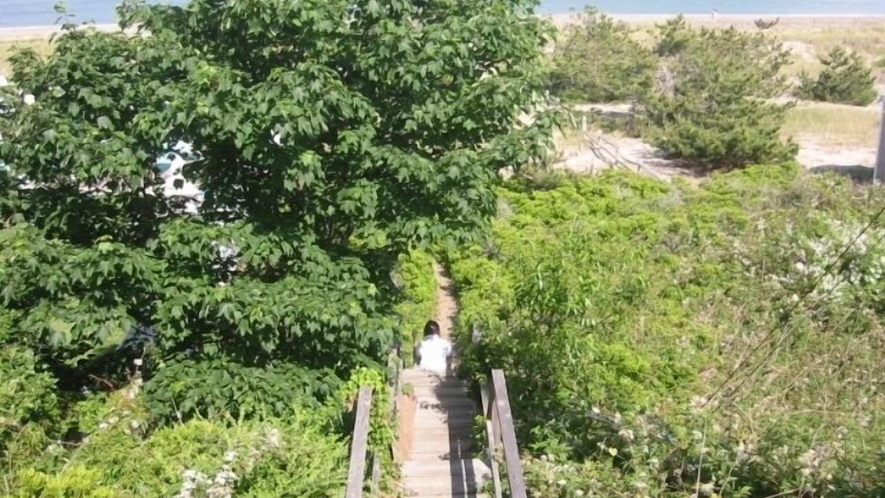 Photo of Others in Siasconset