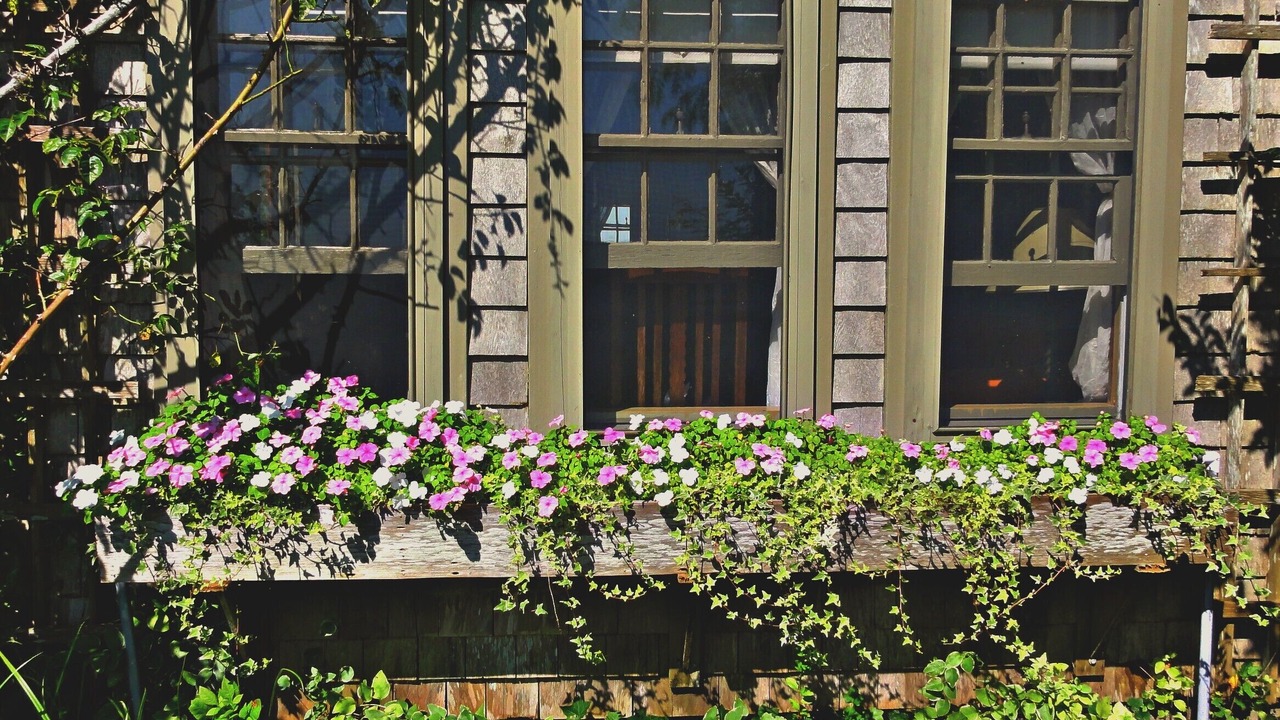 Photo of Others in Siasconset