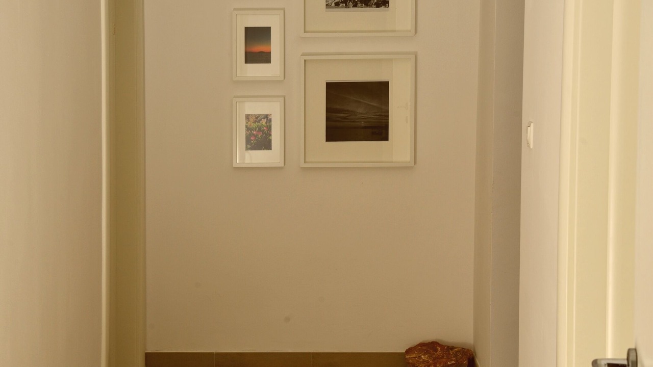 Photo of Others in Maslinica