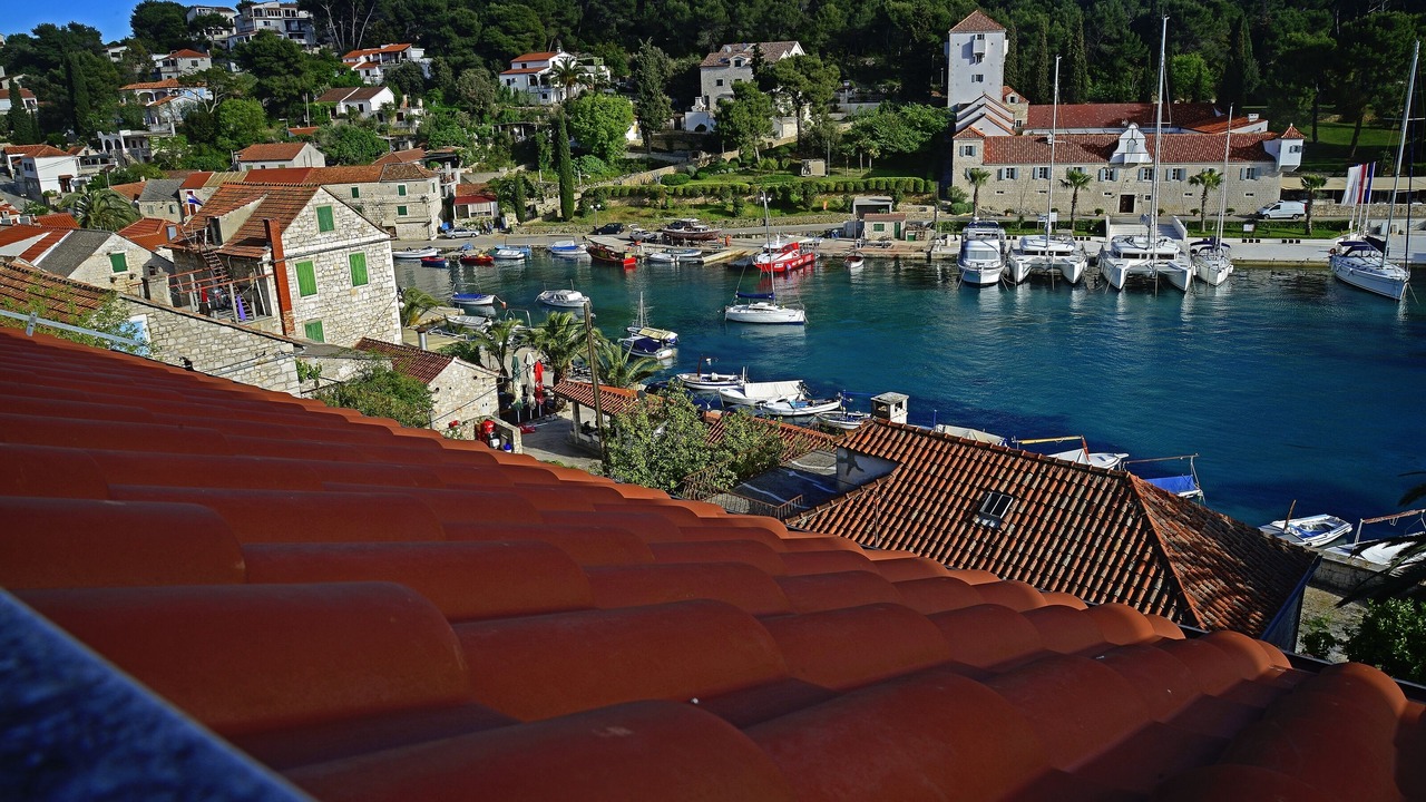 Photo of Others in Maslinica