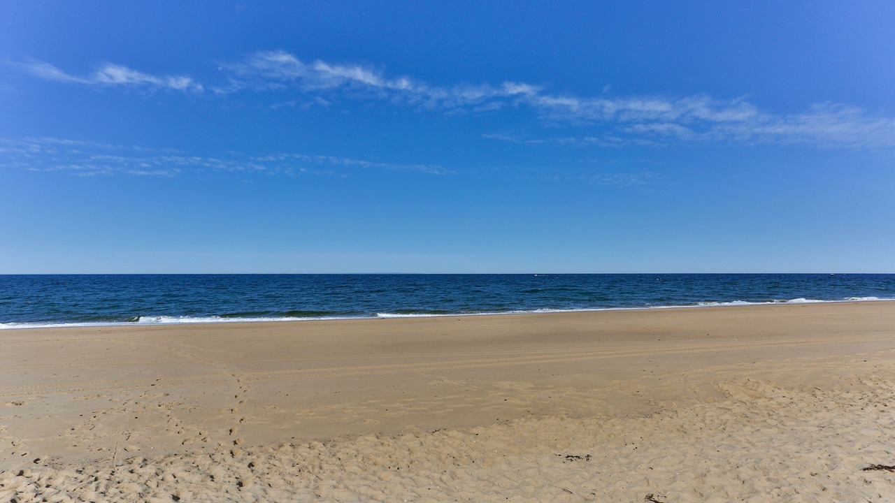 Photo of Others in Provincetown