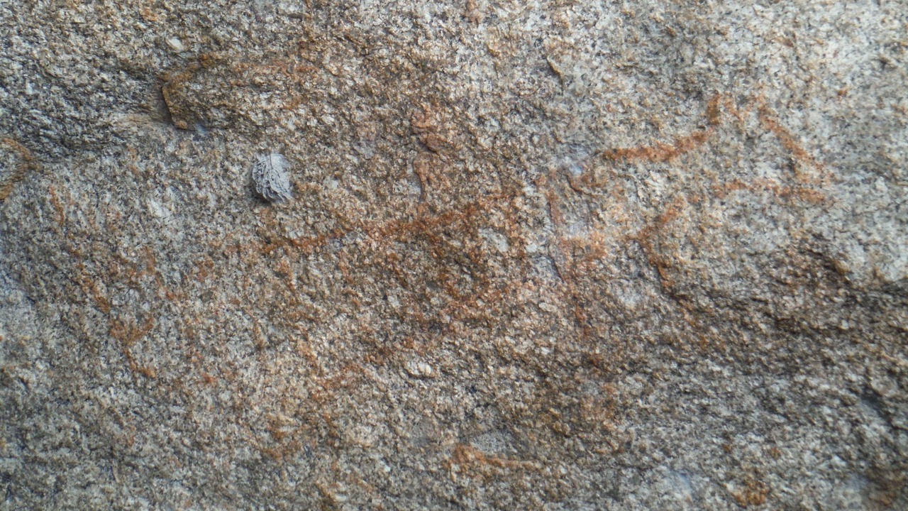 Photo of Others in Beechworth