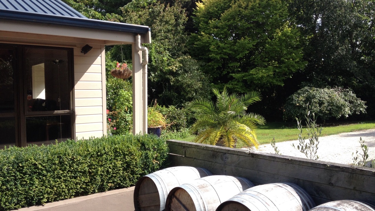 Photo of Others in Tikitere