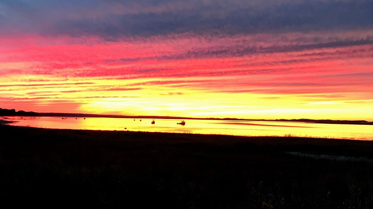 Photo of Others in Barnstable