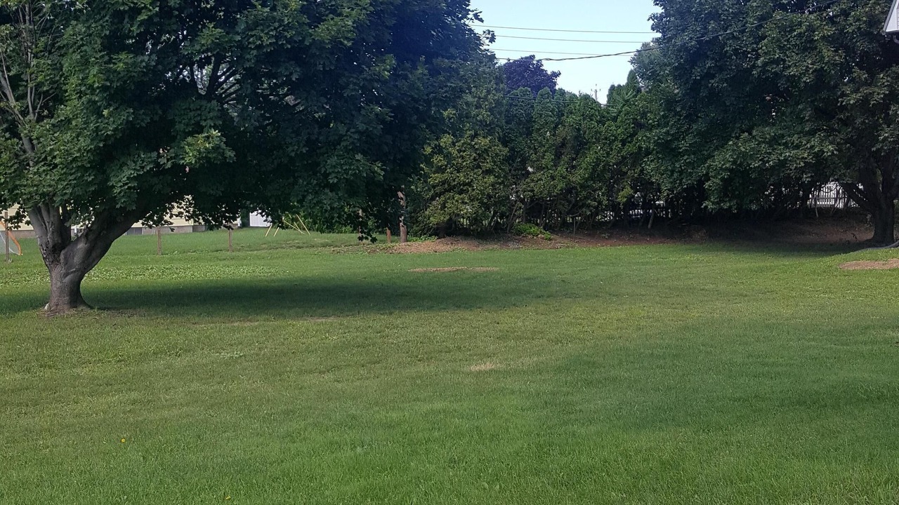 Photo of Others in West Irondequoit