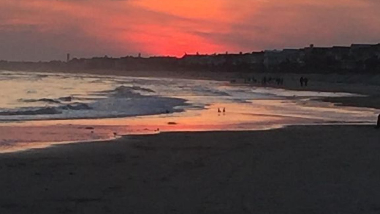 Photo of Others in Isle of Palms