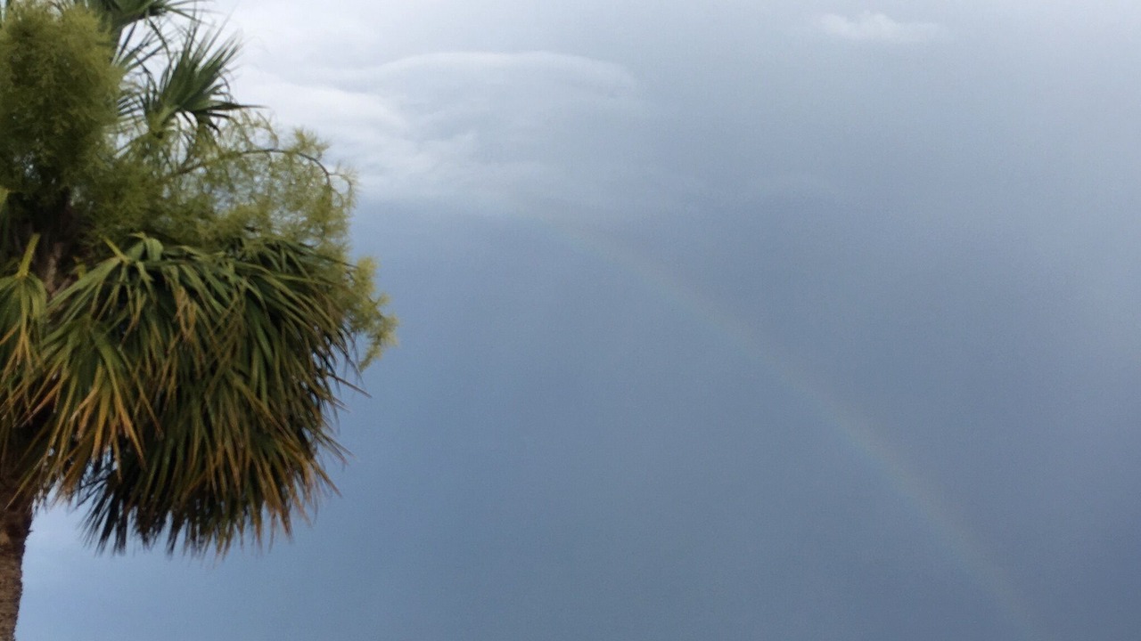 Photo of Outdoor in Isle of Palms