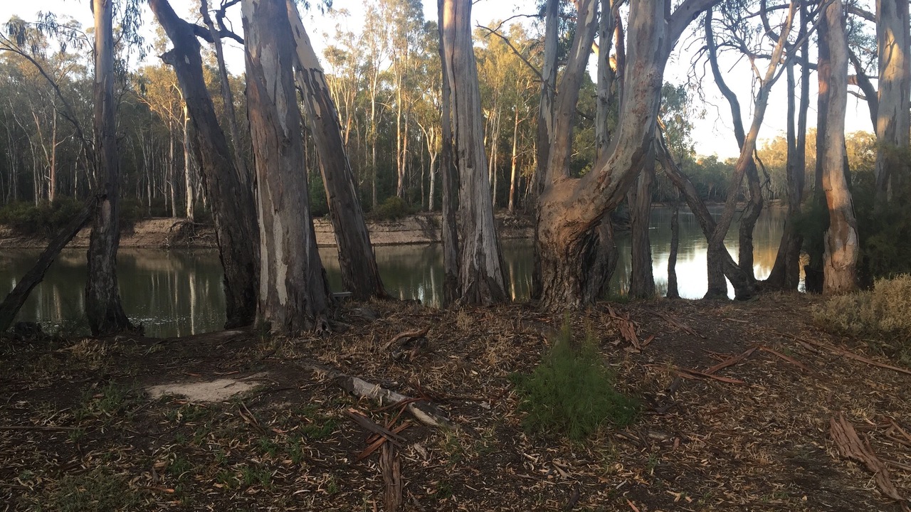 Photo of Outdoor in Barham