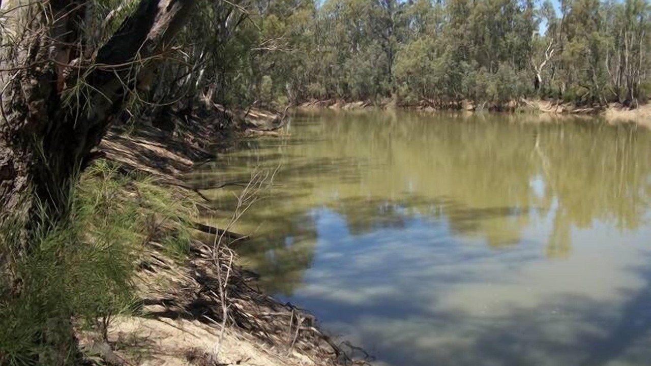 Photo of Others in Barham