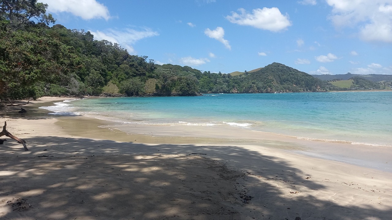 Photo of Others in Matapouri