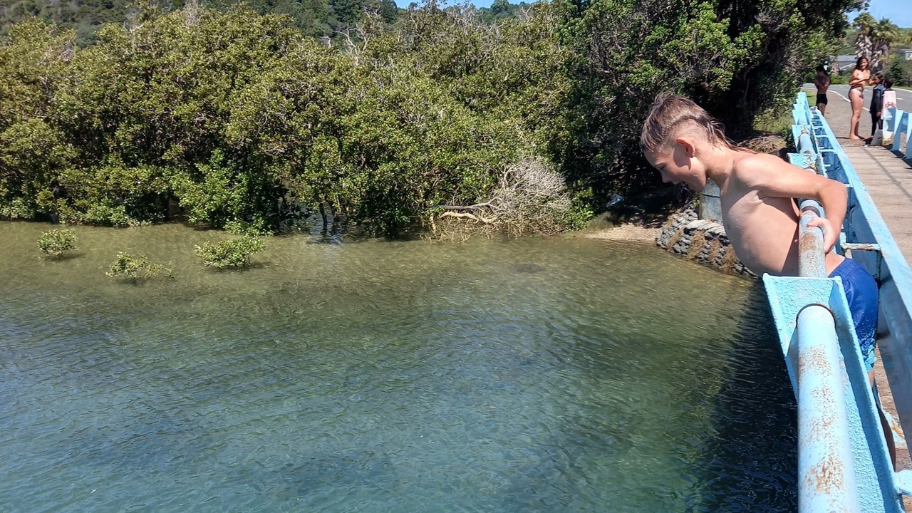 Photo of Others in Matapouri