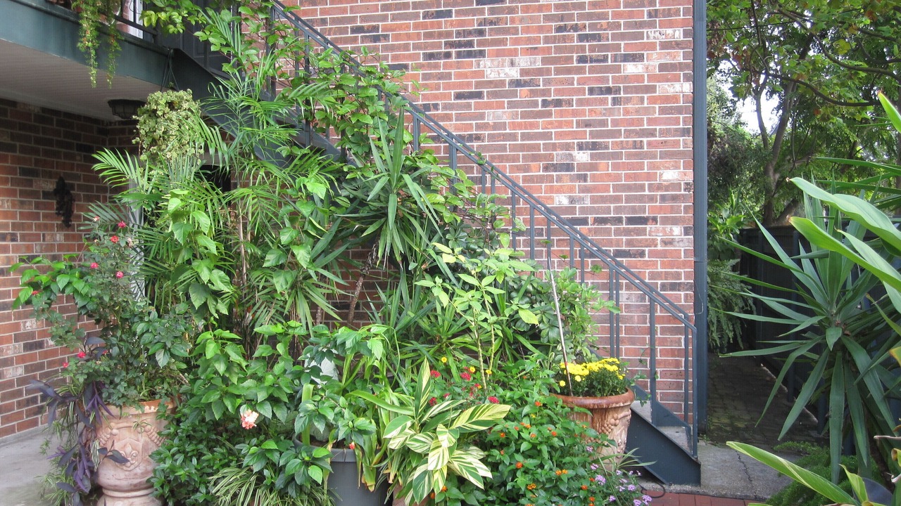 Photo of Outdoor in Faubourg Delassize