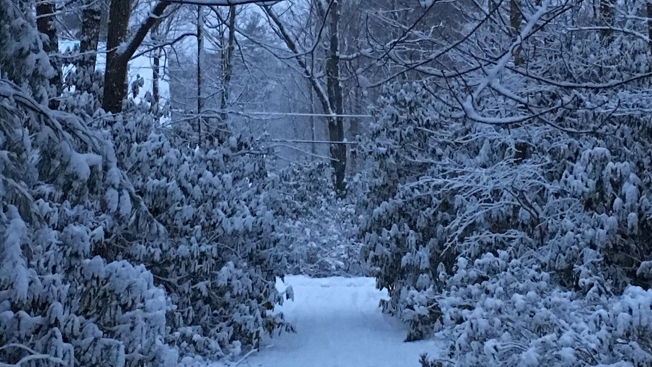 Photo of Outdoor in Jim Thorpe