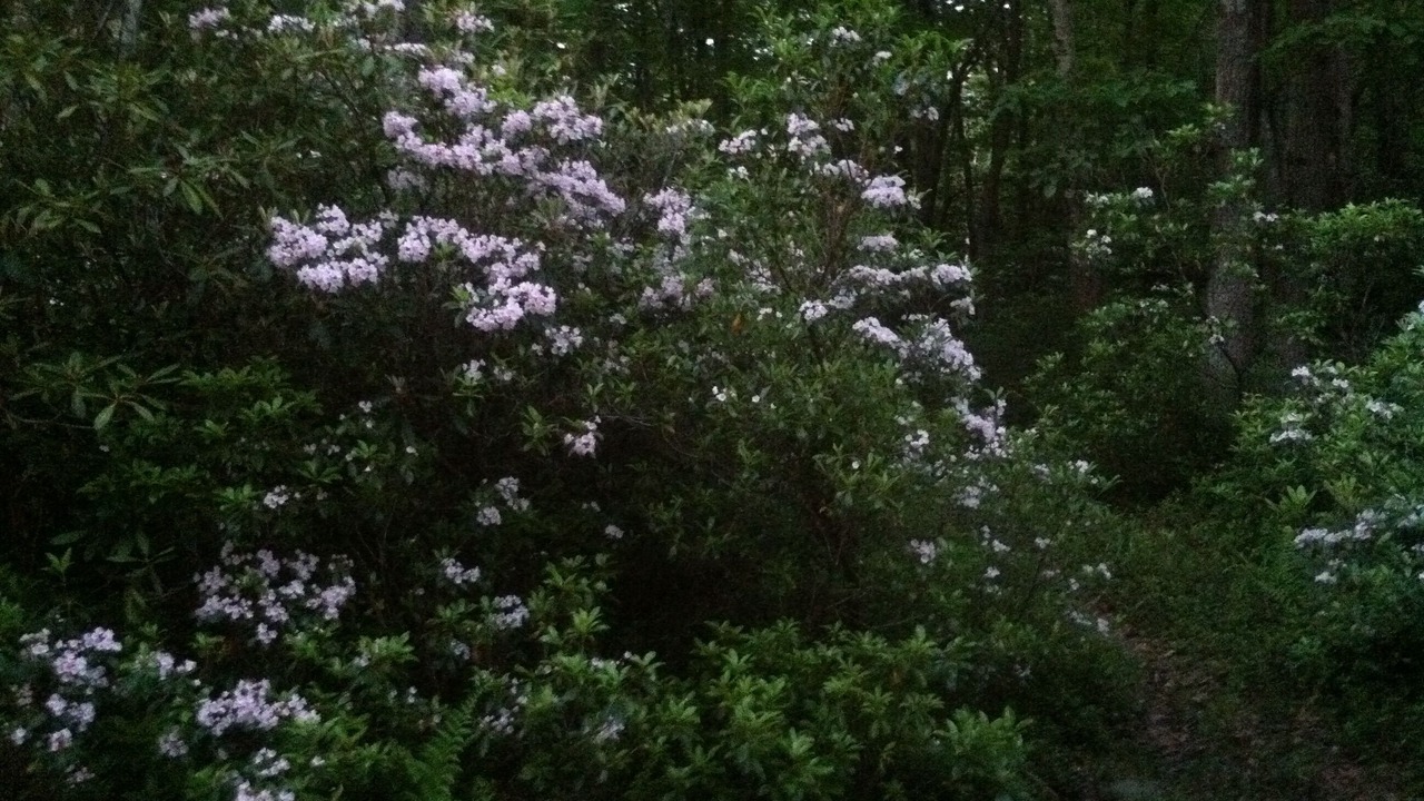 Photo of Outdoor in Jim Thorpe
