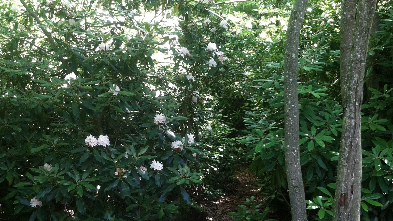 Photo of Outdoor in Jim Thorpe