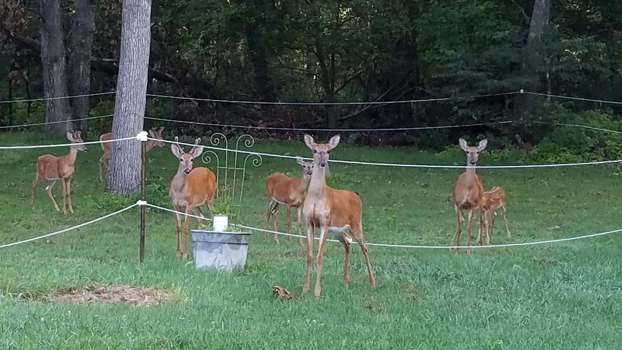 Photo of Others in Wisconsin Dells