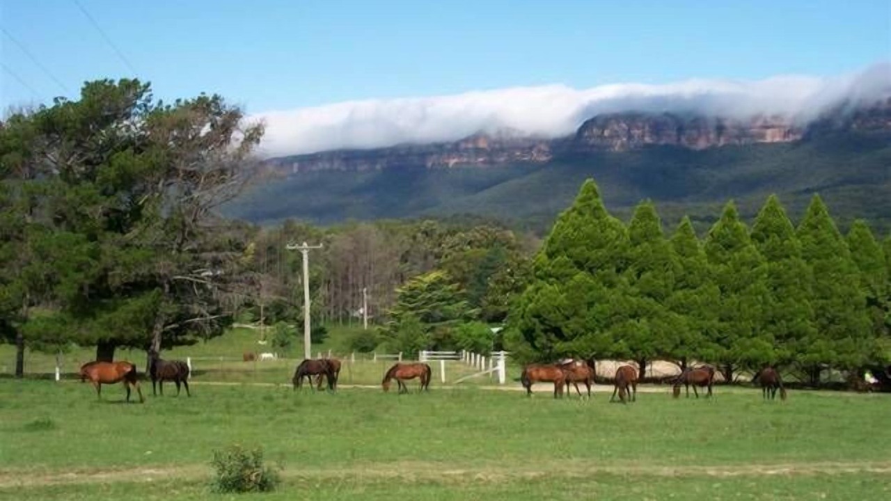Photo of Others in Megalong Valley