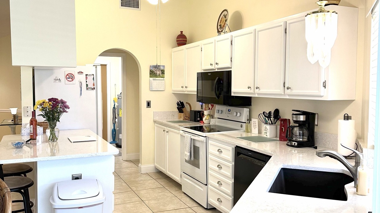 Photo of Others in Pelican