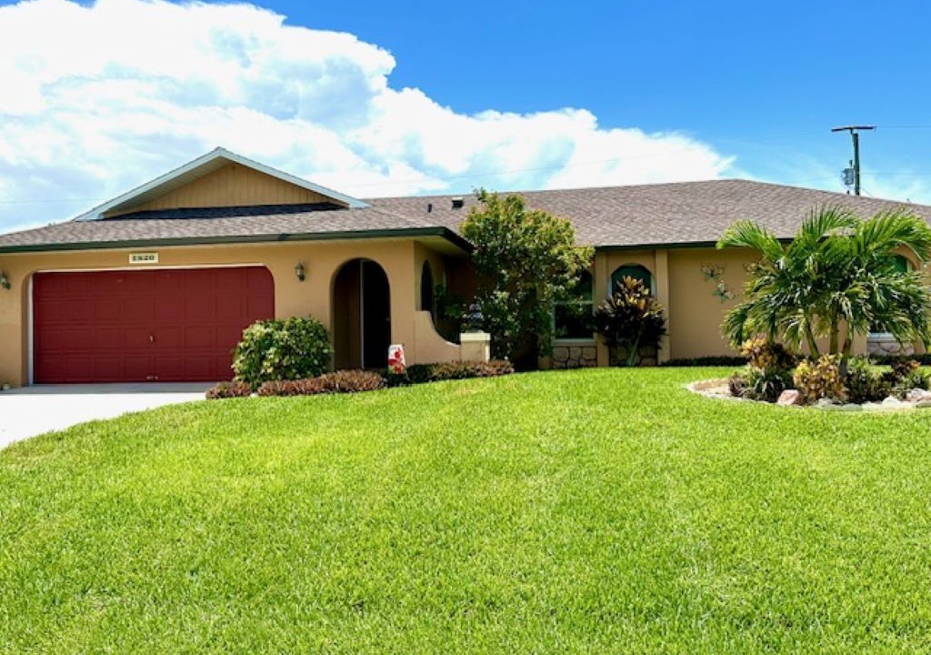 Photo of Others in Pelican