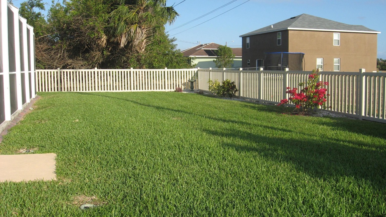 Photo of Others in Pelican