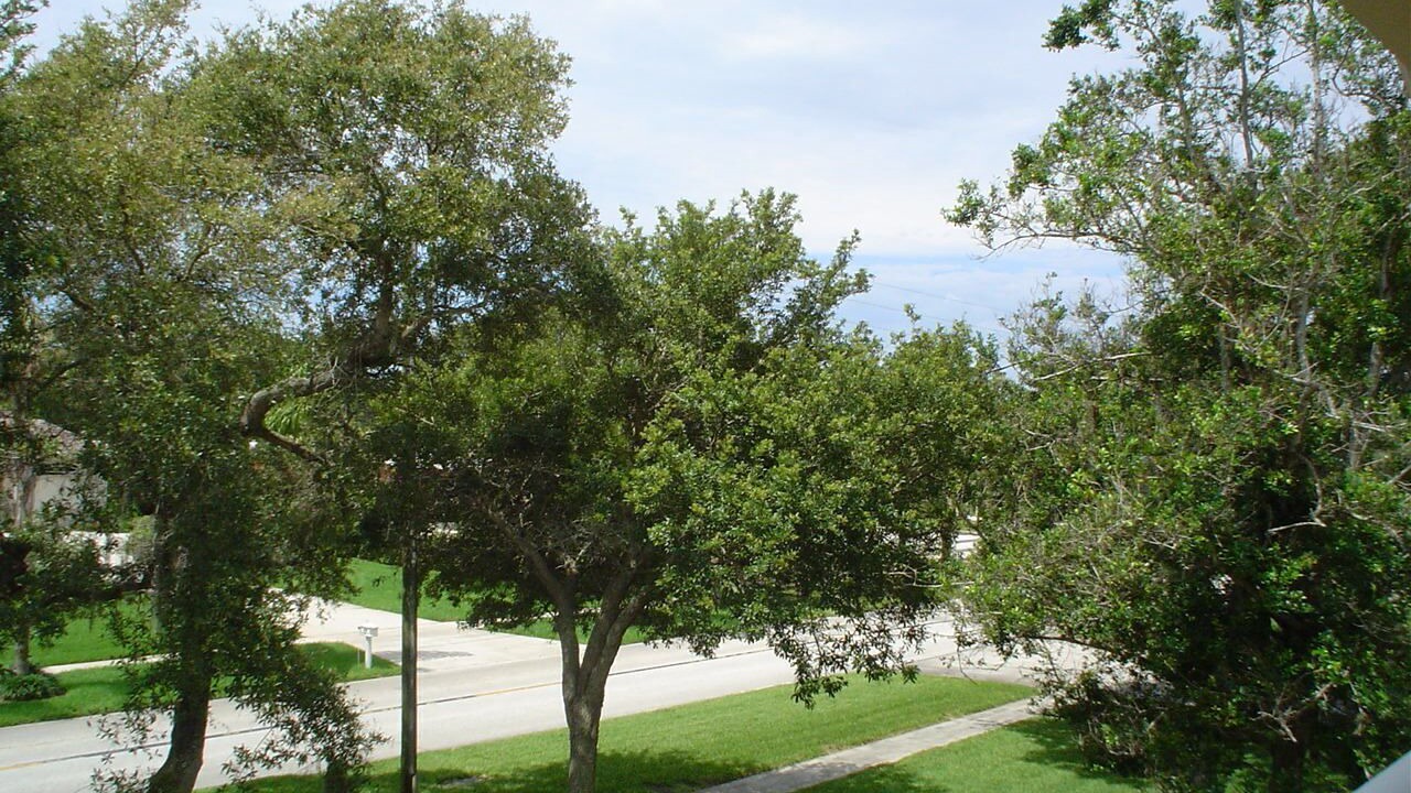 Photo of Outdoor in Tarpon Springs