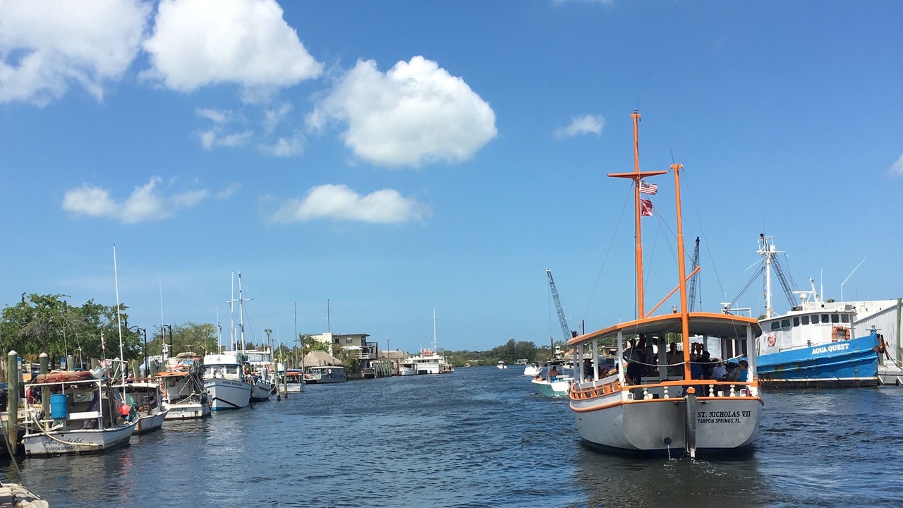 Photo of Others in Tarpon Springs