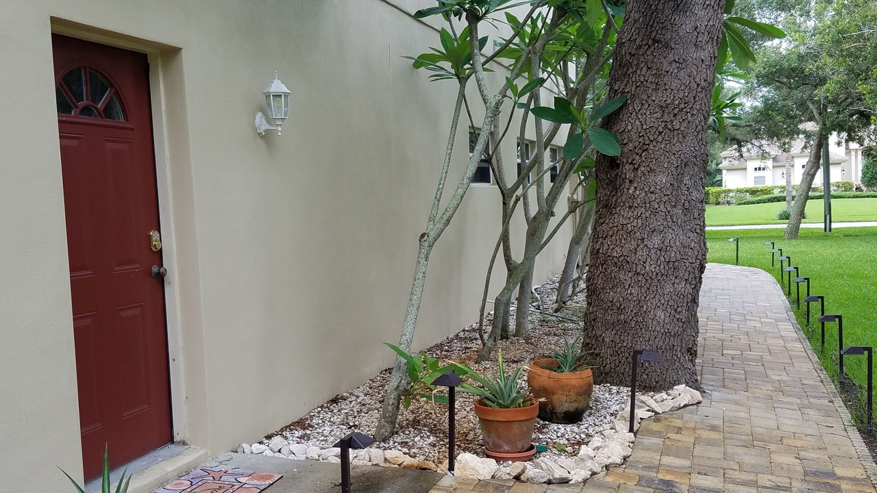 Photo of Others in Tarpon Springs