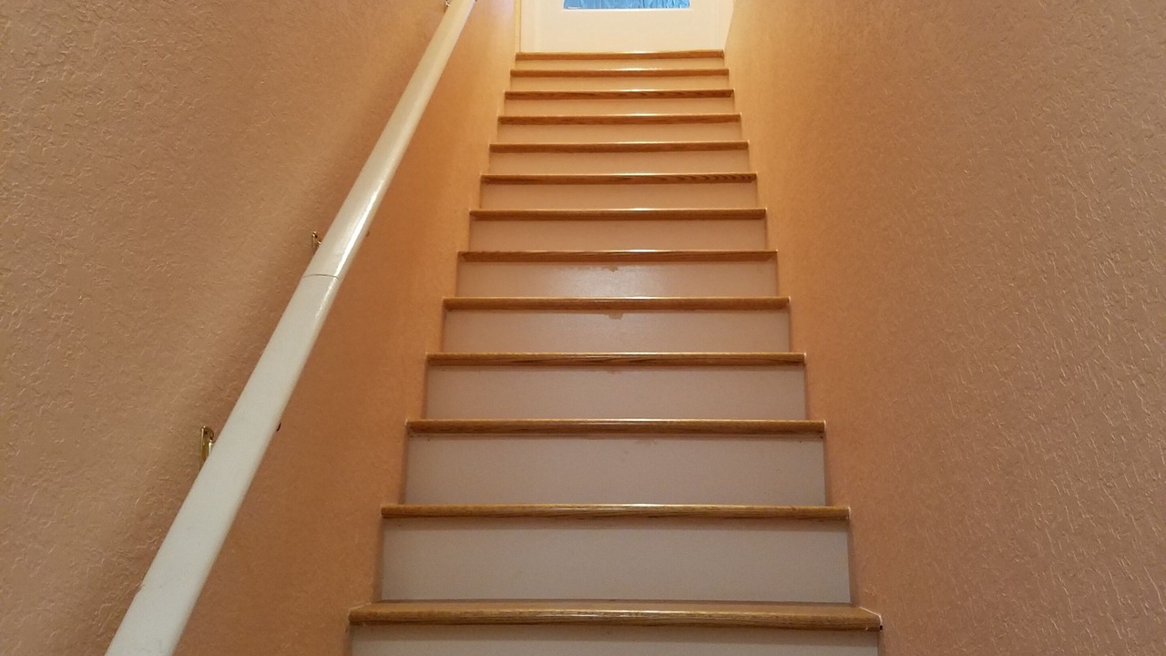 Photo of Others in Tarpon Springs