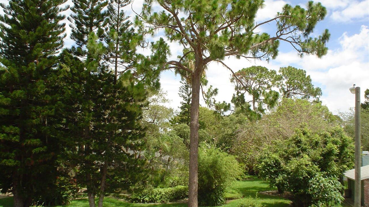 Photo of Outdoor in Tarpon Springs