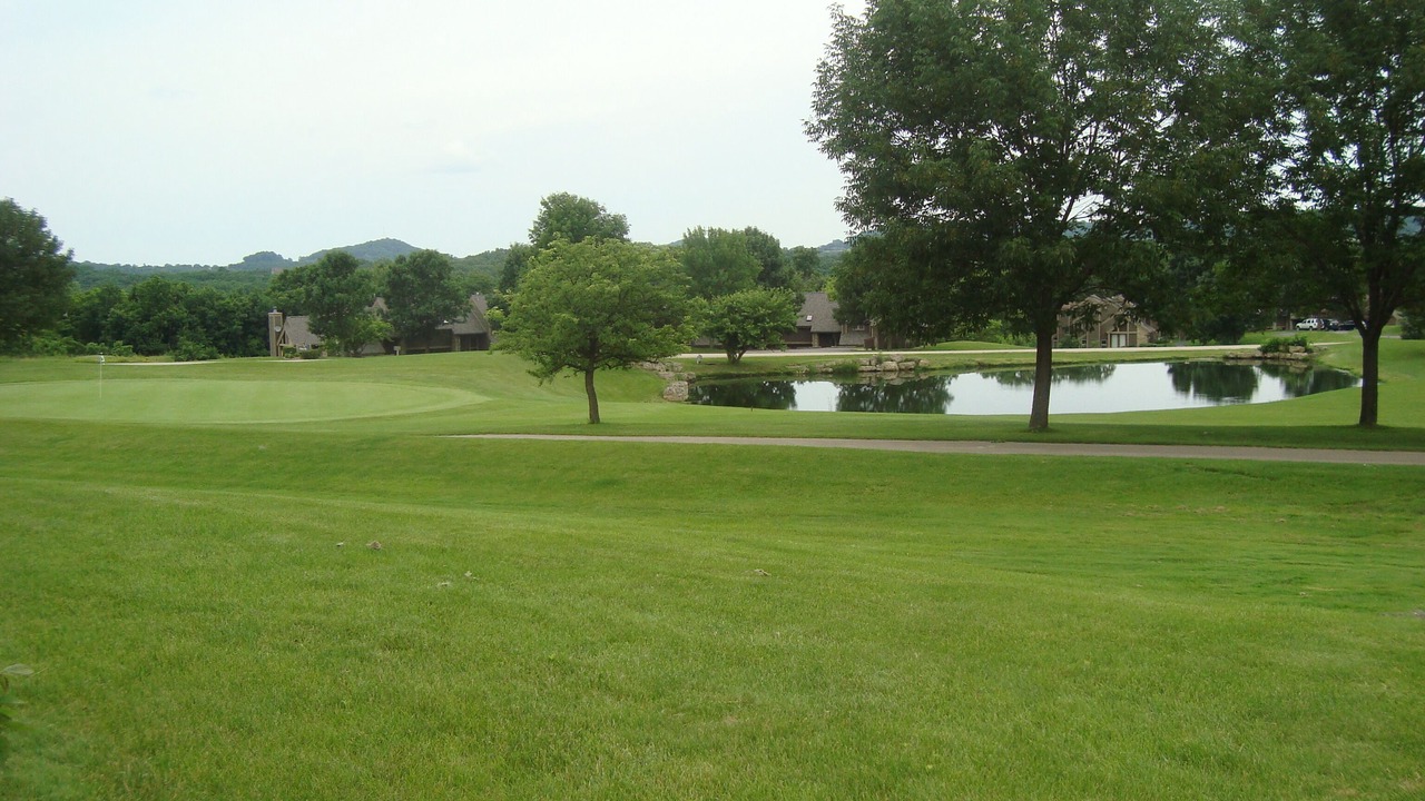 Photo of Others in The Galena Territory