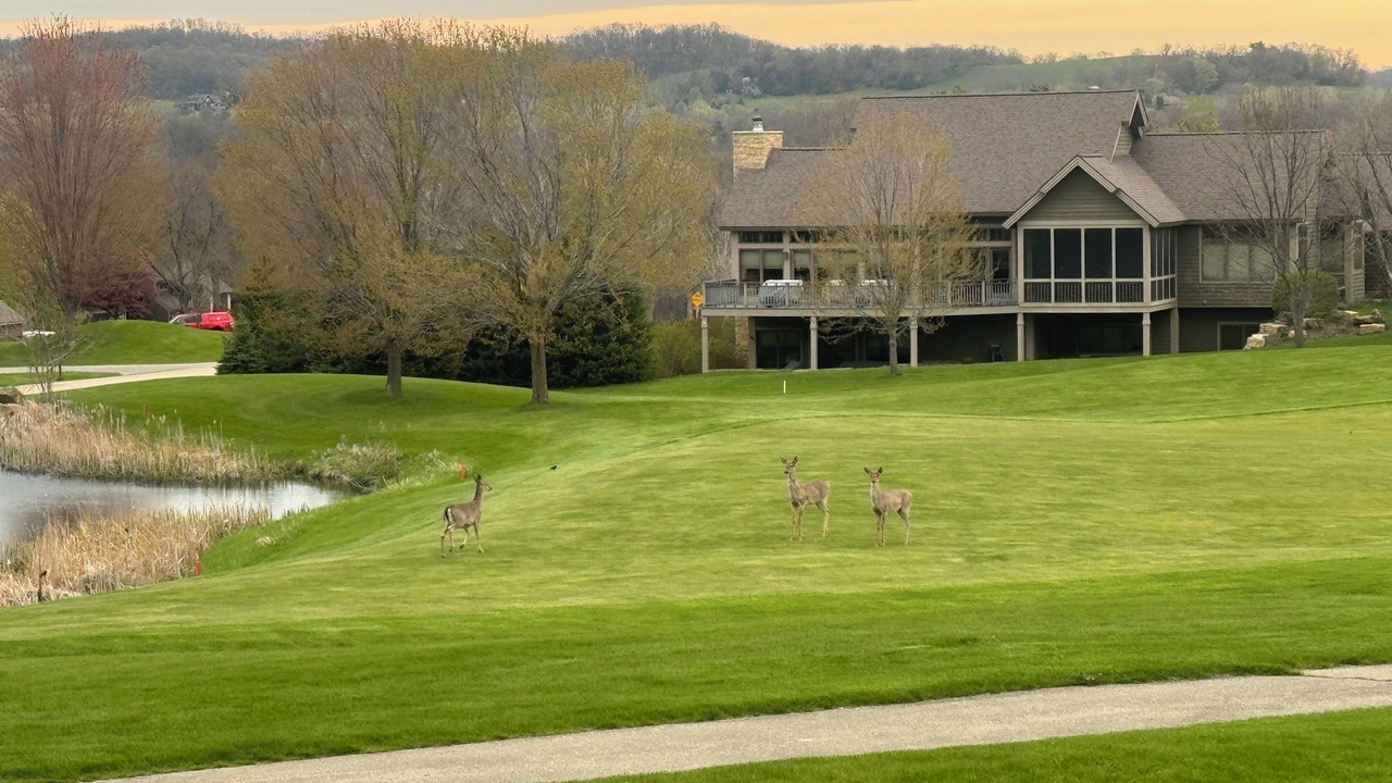 Photo of Others in The Galena Territory