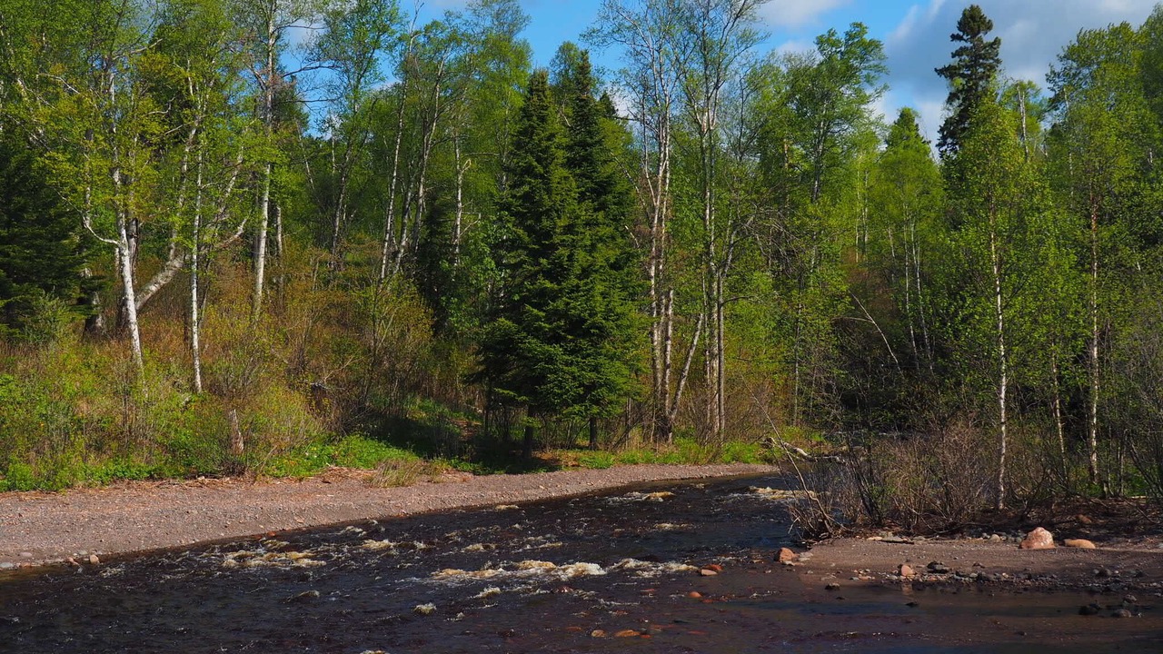 Photo of Outdoor in Schroeder