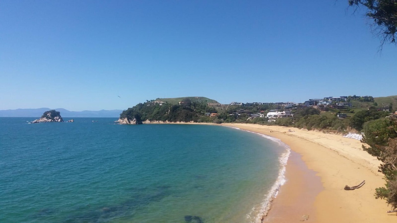 Photo of Others in Ngaio Bay
